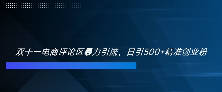 双十一电商评论区暴力引流，日引500+精准创业粉【揭秘】-秀人资源网