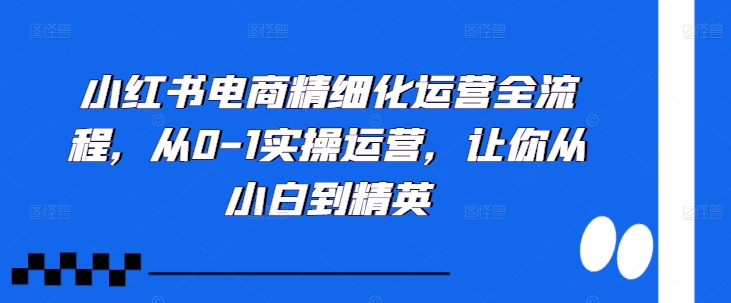 小红书电商精细化运营全流程，从0-1实操运营，让你从小白到精英-秀人资源网