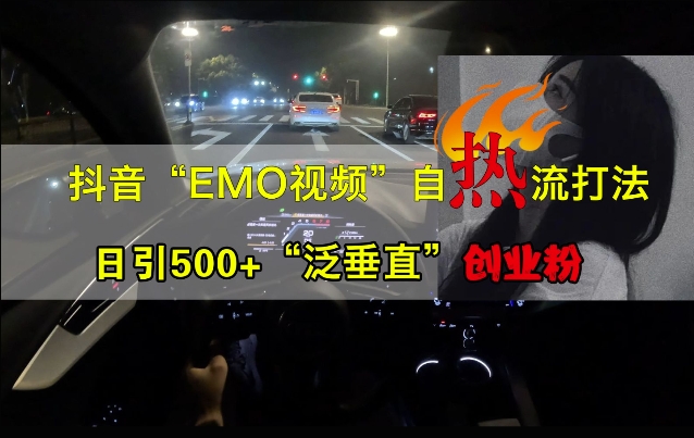 抖音EMO视频自热打法，日引500+“泛垂直”创业粉-秀人资源网