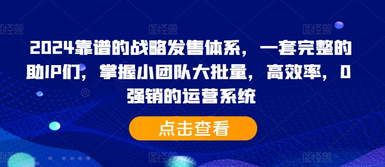 2024靠谱的战略发售体系，一套完整的助IP们，掌握小团队大批量，高效率，0 强销的运营系统-整合资源网