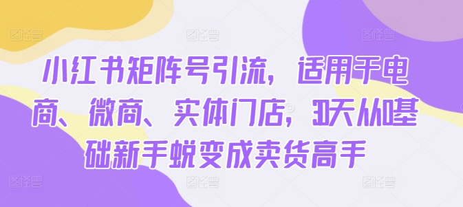 小红书矩阵号引流，适用于电商、微商、实体门店，30天从0基础新手蜕变成卖货高手-整合资源网