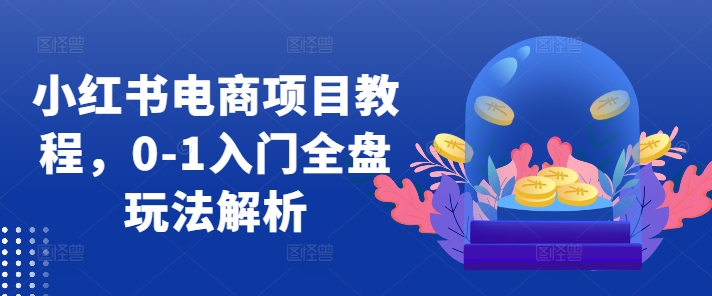 小红书电商项目教程，0-1入门全盘玩法解析-秀人资源网
