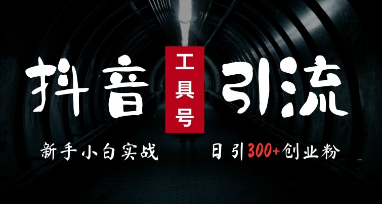 2024最新抖音工具号引流玩法，高效日引300+创业粉，当天变现5k，小白也可成为实战高手-整合资源网