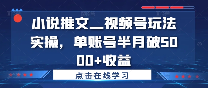 小说推文—视频号玩法实操，单账号半月破5000+收益-秀人资源网