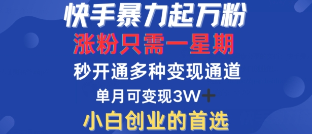 快手暴力起万粉，涨粉只需一星期，多种变现模式，直接秒开万合，单月变现过W【揭秘】-秀人资源网
