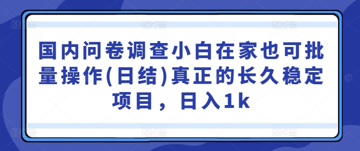 国内问卷调查小白在家也可批量操作(日结)真正的长久稳定项目，日入1k【揭秘】-秀人资源网