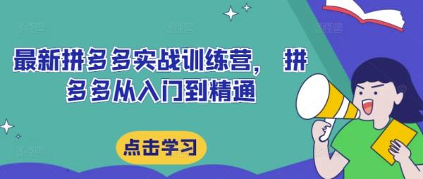 最新拼多多实战训练营， 拼多多从入门到精通-秀人资源网