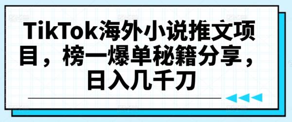 TikTok海外小说推文项目，榜一爆单秘籍分享，日入几千刀-秀人资源网