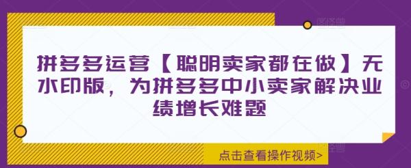 拼多多运营【聪明卖家都在做】无水印版，为拼多多中小卖家解决业绩增长难题-秀人资源网
