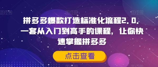 拼多多爆款打造标准化流程2.0，一套从入门到高手的课程，让你快速掌握拼多多-秀人资源网
