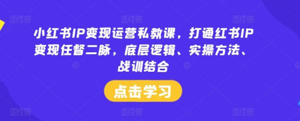 小红书IP变现运营私教课，打通红书IP变现任督二脉，底层逻辑、实操方法、战训结合-秀人资源网