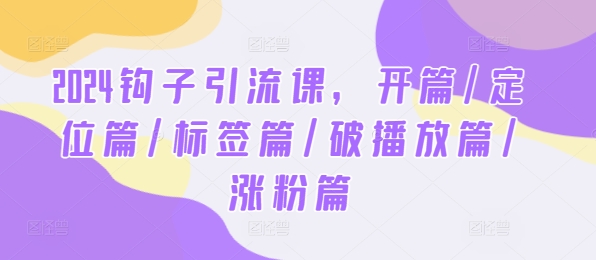 2024钩子引流课，开篇/定位篇/标签篇/破播放篇/涨粉篇-整合资源网