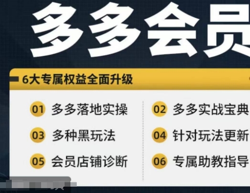 拼多多会员，拼多多实战宝典+实战落地实操，从新手到高阶内容全面覆盖-秀人资源网