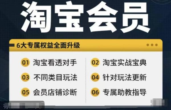 淘宝会员【淘宝所有课程，全面分析对手】，初级到高手全系实战宝典-秀人资源网