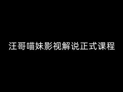 汪哥影视解说正式课程：剪映/PR教学/视解说剪辑5大黄金法则/全流程剪辑7把利器等等-秀人资源网
