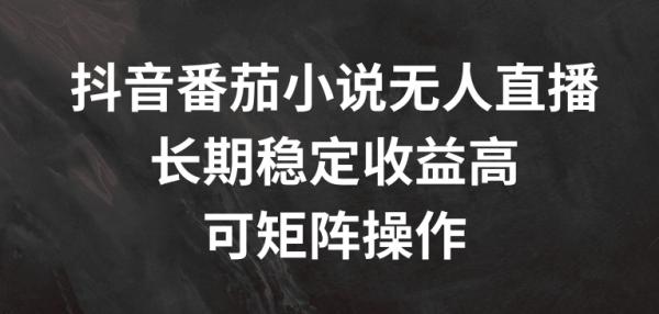 抖音番茄小说无人直播，长期稳定收益高，可矩阵操作【揭秘】-秀人资源网