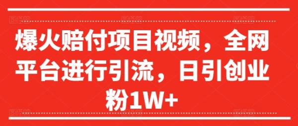 爆火赔付项目视频，全网平台进行引流，日引创业粉1W+【揭秘】-秀人资源网