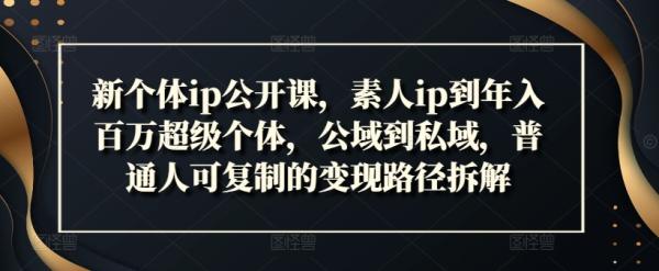 新个体ip公开课，素人ip到年入百万超级个体，公域到私域，普通人可复制的变现路径拆解-秀人资源网