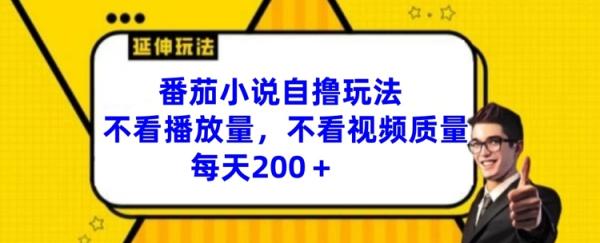 番茄小说自撸玩法，不看播放量，不看视频质量，每天200+【揭秘】-整合资源网