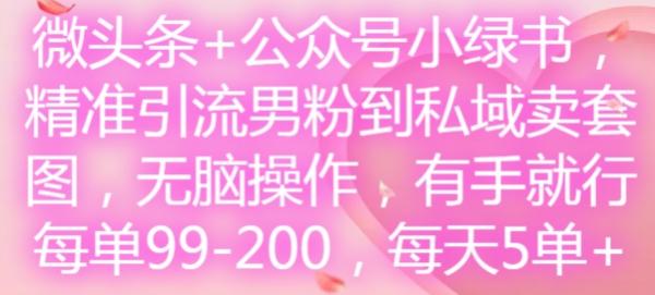 微头条+公众号小绿书，精准引流男粉到私域卖套图，无脑操作，有手就行，每单99-200，每天5单-秀人资源网