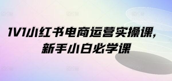 1V1小红书电商运营实操课，新手小白必学课-秀人资源网