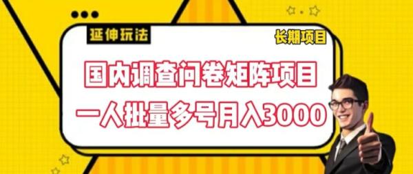 国内调查问卷矩阵项目，一人批量多号月入3000【揭秘】-秀人资源网