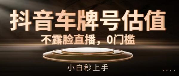 抖音车牌号估值，不露脸直播，0门槛，小白秒上手【揭秘】-秀人资源网