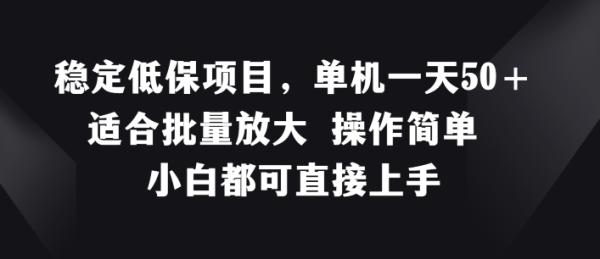 稳定低保项目，单机一天50+适合批量放大 操作简单 小白都可直接上手【揭秘】-秀人资源网