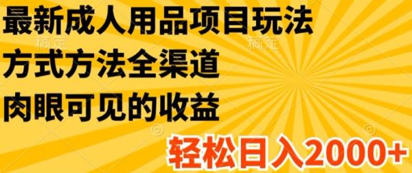 最新成人用品项目玩法，方式方法全渠道，轻松日入2K+【揭秘】-秀人资源网