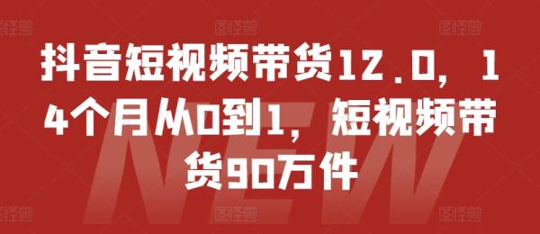 抖音短视频带货12.0，14个月从0到1，短视频带货90万件-秀人资源网