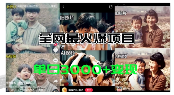 全网爆火的AI让老照片动起来教程，蹭热点日赚3k+，内含免费工具一键可生成【揭秘】-整合资源网