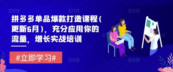 拼多多单品爆款打造课程(更新6月)，充分应用你的流量，增长实战培训-秀人资源网