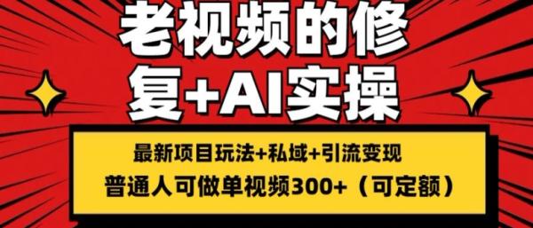 修复老视频的玩法，搬砖+引流的变现(可持久)，单条收益300+【揭秘】-整合资源网