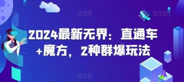 2024最新无界：直通车+魔方，2种群爆玩法-整合资源网