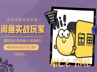 手把手教你0到1系统玩转闲鱼变现，爆款思维/超级曝光/超高转化-秀人资源网