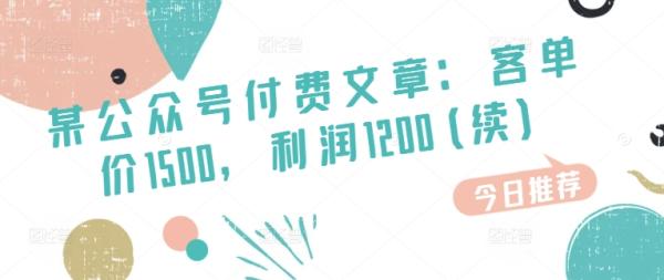某公众号付费文章：客单价1500，利润1200(续)，市场几乎可以说是空白的-整合资源网