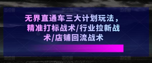 无界直通车三大计划玩法，精准打标战术/行业拉新战术/店铺回流战术-秀人资源网