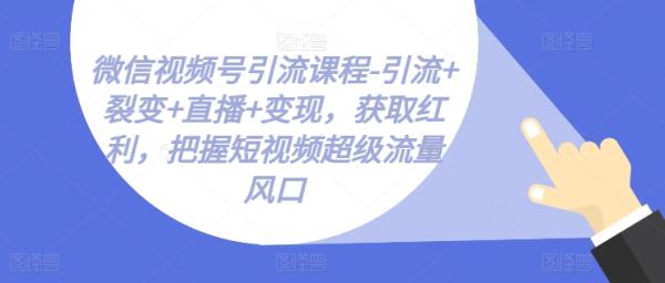 微信视频号引流课程-引流+裂变+直播+变现，获取红利，把握短视频超级流量风口-秀人资源网