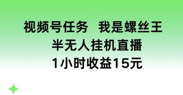 视频号任务，我是螺丝王， 半无人挂机1小时收益15元【揭秘】-整合资源网