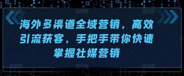 海外多渠道全域营销，高效引流获客，手把手带你快速掌握社媒营销-整合资源网