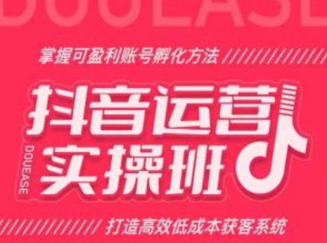 抖音运营实操班，掌握可盈利账号孵化方法，打造高效低成本获客系统-秀人资源网