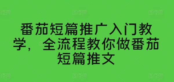 番茄短篇推广入门教学，全流程教你做番茄短篇推文-秀人资源网
