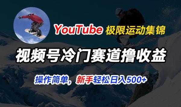 视频号冷门赛道撸收益，YouTube搬运极限运动集锦，暴力起号，操作简单流量高，轻松日入5张【揭秘】-整合资源网
