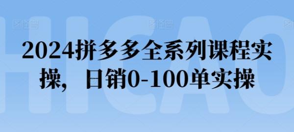 2024拼多多全系列课程实操，日销0-100单实操【必看】-秀人资源网