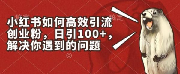 小红书如何高效引流创业粉，日引100+，解决你遇到的问题【揭秘】-秀人资源网