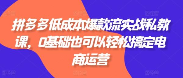 拼多多低成本爆款流实战私教课，0基础也可以轻松搞定电商运营-秀人资源网