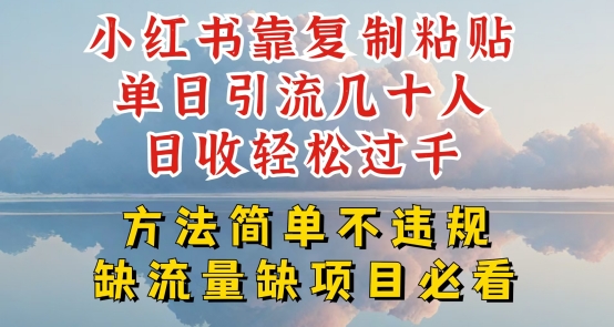 小红书靠复制粘贴单日引流几十人目收轻松过千，方法简单不违规【揭秘】-秀人资源网