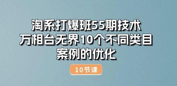 淘系打爆班55期技术：万相台无界10个不同类目案例的优化(10节)-秀人资源网