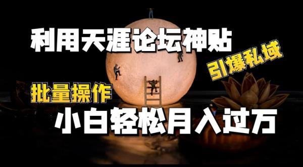 利用天涯论坛神贴，引爆私域，批量操作，小白轻松月入过w【揭秘】-整合资源网