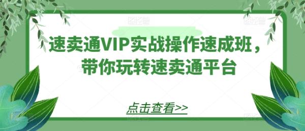 速卖通VIP实战操作速成班，带你玩转速卖通平台-秀人资源网